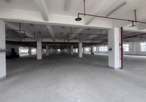（热门）南京天保凤集大道雨花板桥开发区5000平厂房出租丙二消防带货梯形象好配套齐2500平独门独院
