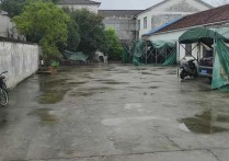 （热门）南京湖熟边独门独院厂房出租1000平方挑高4米适合小单层 - 园区产业招商网