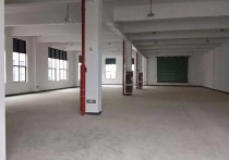 衢州龙游城南开发区全新一手现房精装修即买即用标准厂房多层仓库出售厂房出售｜开发区，现房即买即用